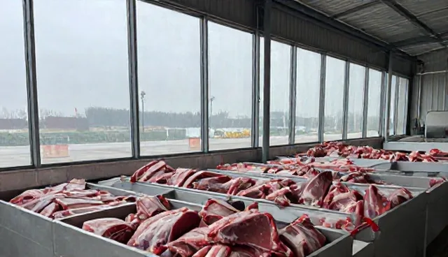 冷冻肉制品渠道供货中的设备维护难题